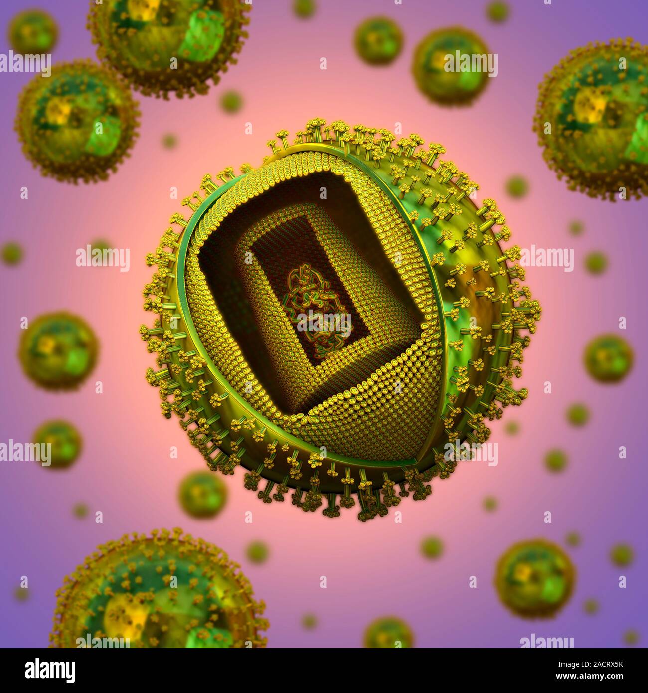 HIV particle, computer artwork. HIV (human immunodeficiency virus ...