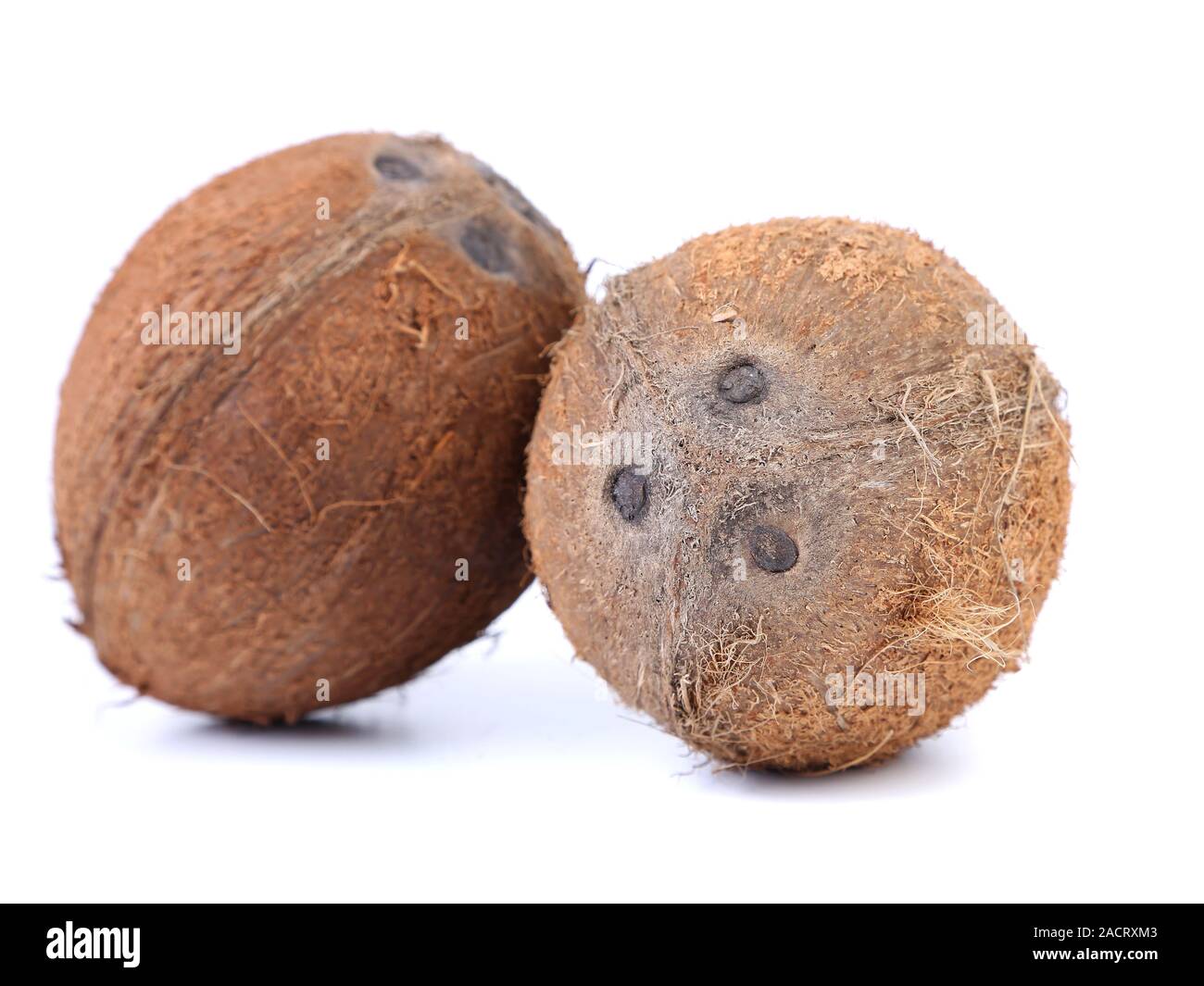 coconuts isolated on a white background Stock Photo