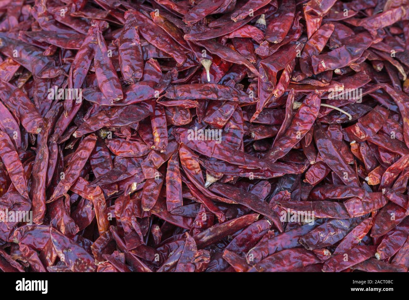 Red dried chillies detail hi-res stock photography and images - Alamy