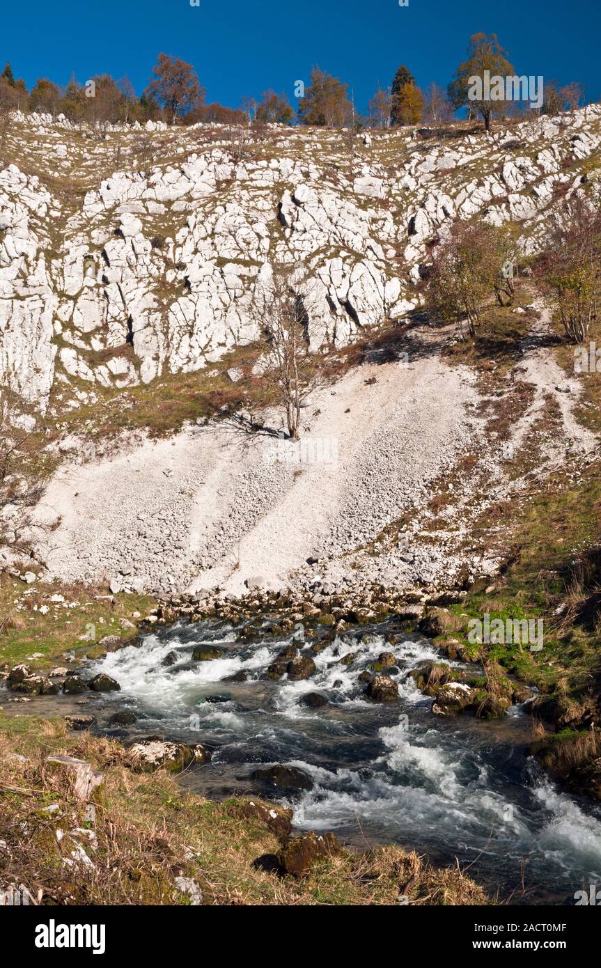 The source of the Saine river near Foncine-le-Haut, Jura (39), Bourgogne-Franche-Comte region, France Stock Photo