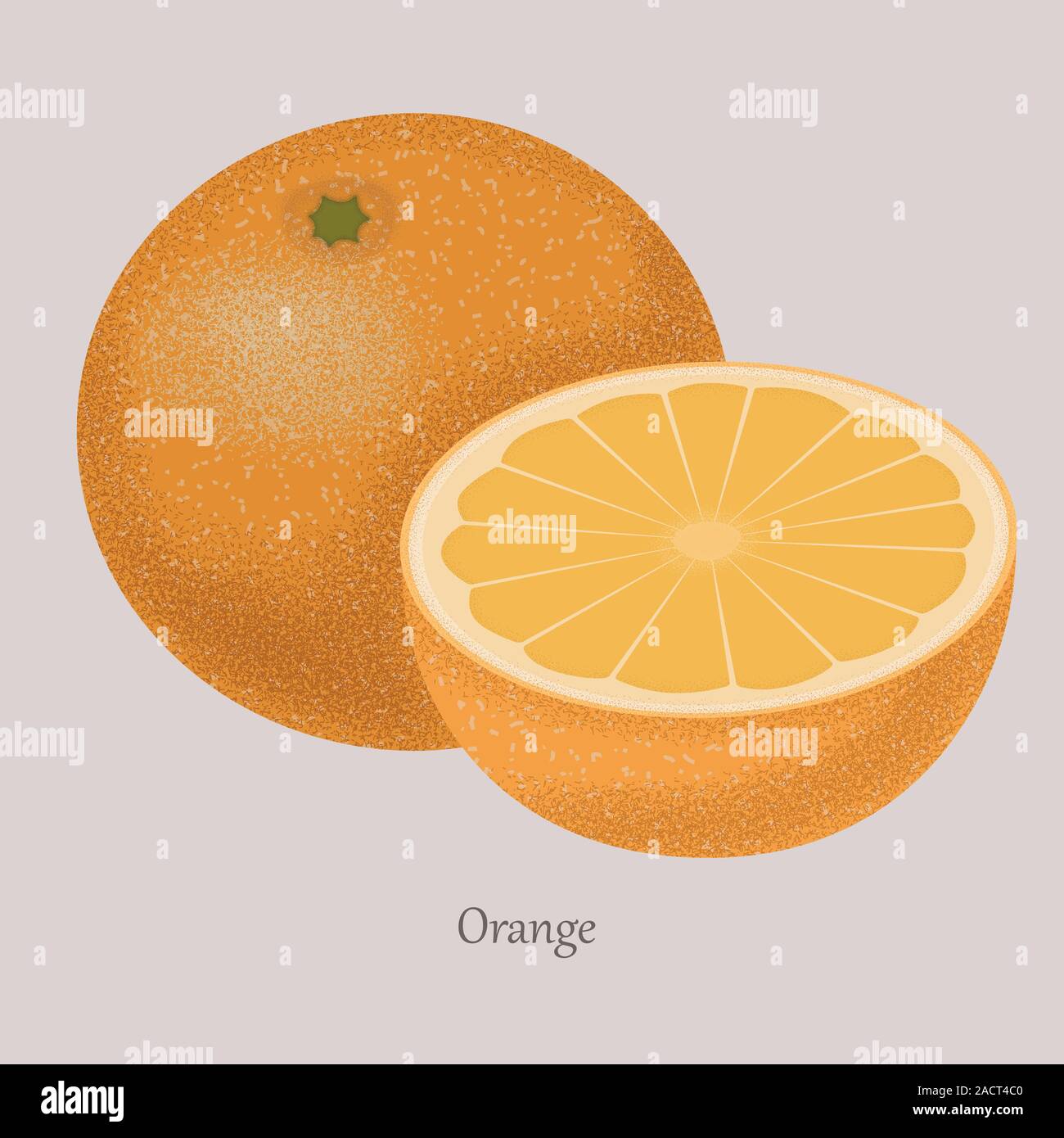 Orange slices ripe fruit on a gray background. Stock Vector