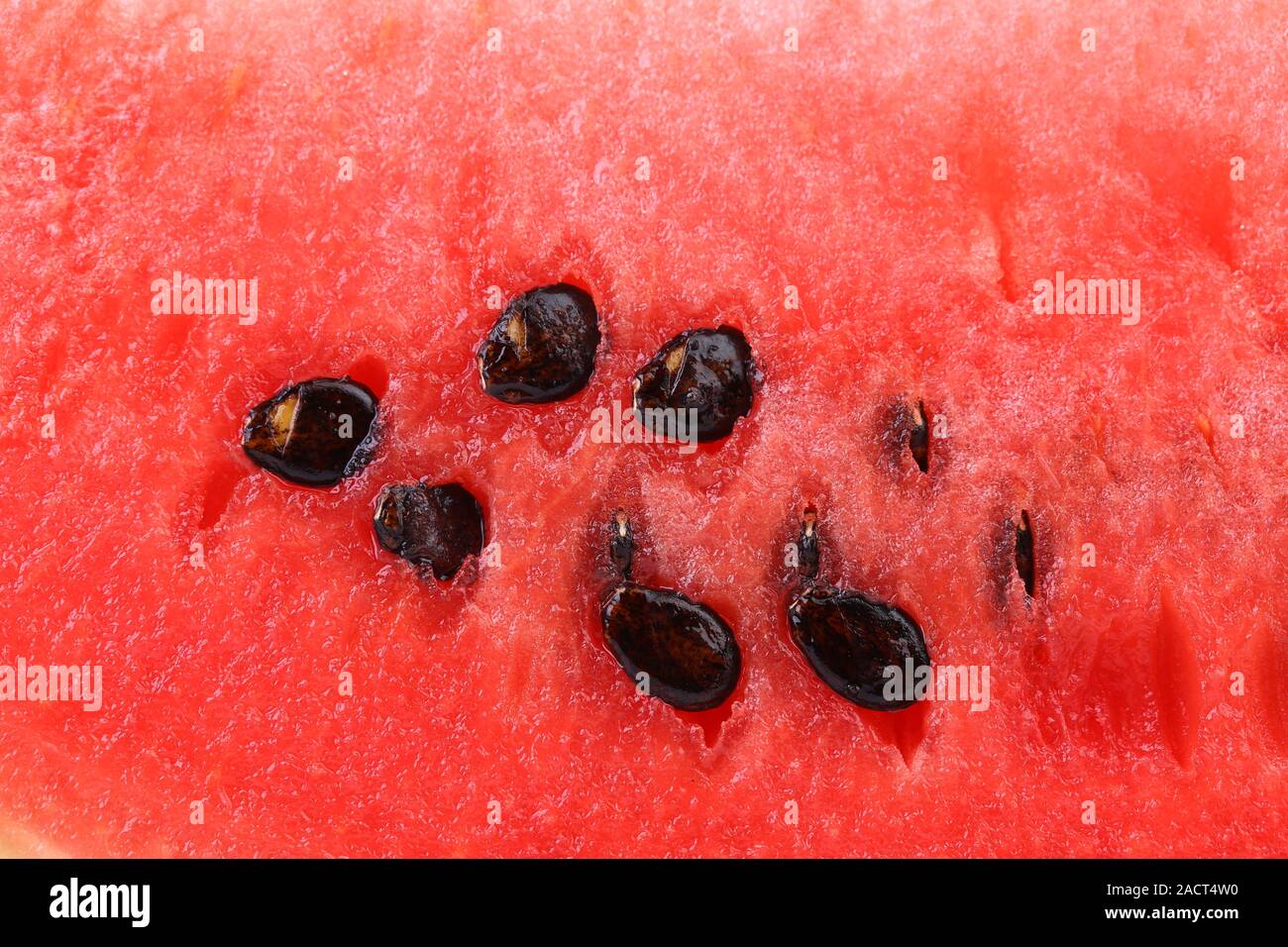 Macro shot of a watermelon with its seeds Stock Photo Alamy