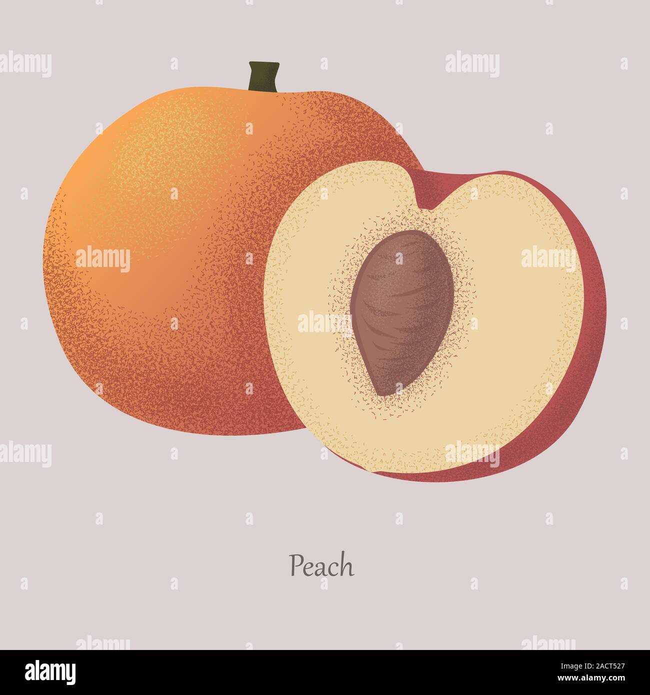 Ripe fruit peach cut in half and whole. Stock Vector