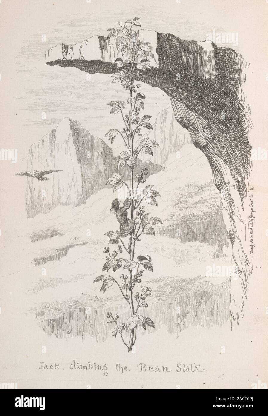Jack climbing the beanstalk. Image taken from The History of Jack and