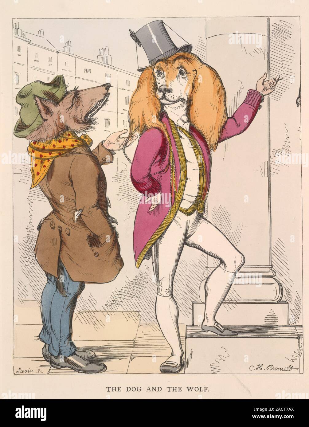 The Dog And The Wolf The Dog Is Dressed As A gentleman And The Wolf The dog and the wolf the dog is dressed as a gentleman and the wolf