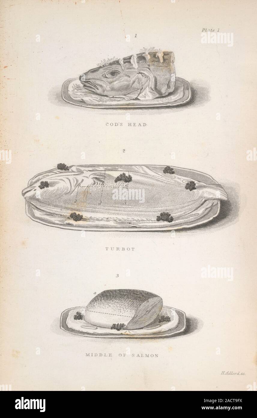 A cod's head, a turbot and a middle of salmon. Image taken from Modern cookery for private families, reduced to a system of easy practice, in a series Stock Photo
