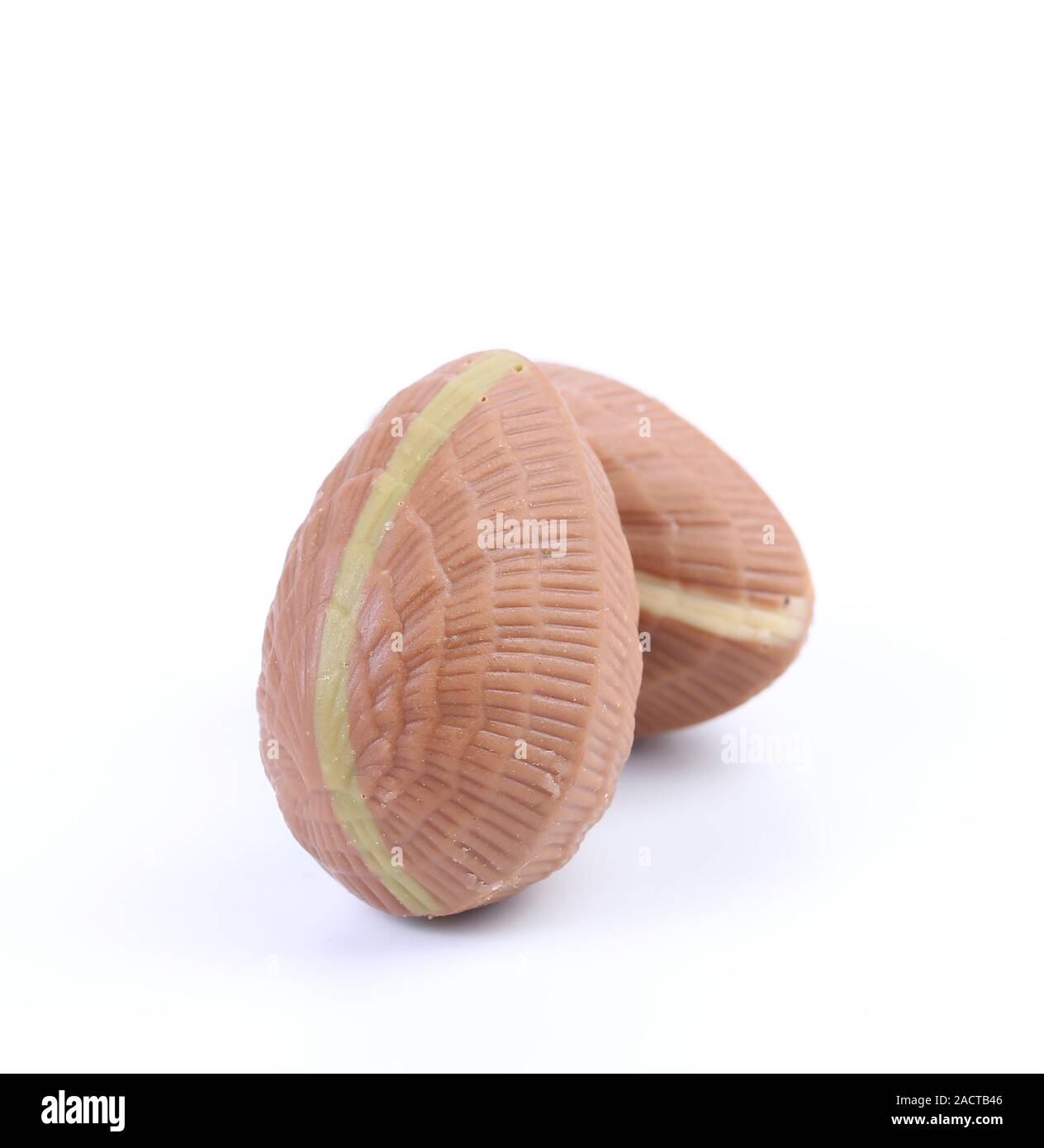 Chocolate seashells. Stock Photo