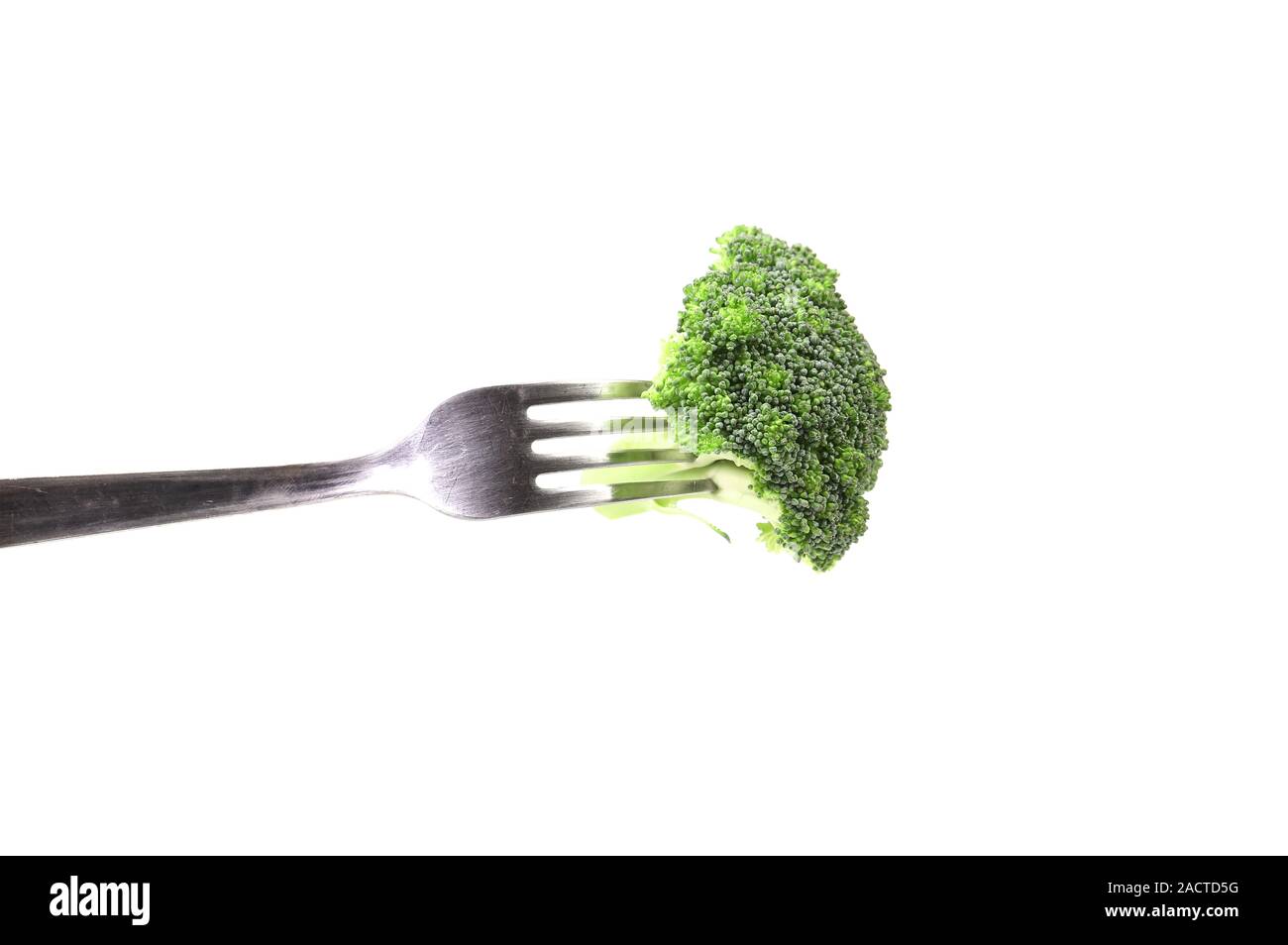 Broccoli floret on a fork. Stock Photo