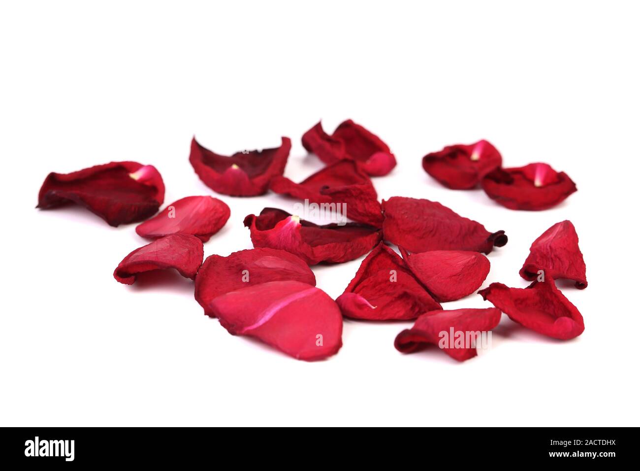 Dead Rose Petals High Resolution Stock Photography and Images Alamy