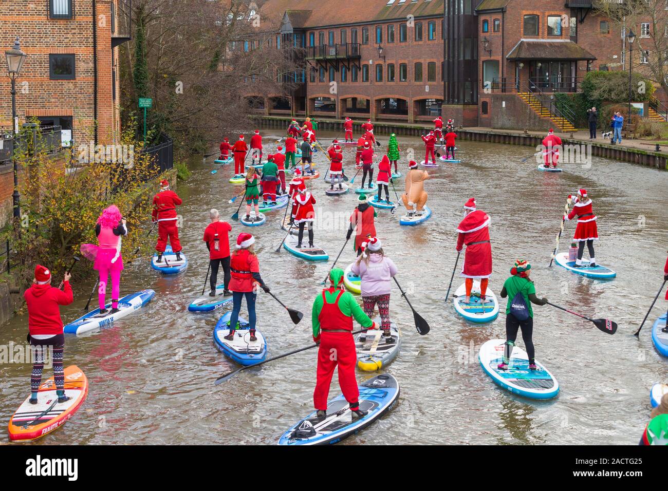Paddleboarders dressed as santa paddle up the river medway for the charity stand up to cancer, tonbridge, kent, uk Stock Photo