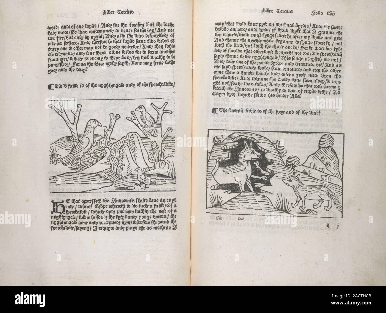 Fables, Woodcuts depicting the fables of the nightingale, and the