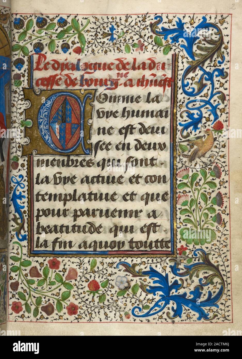 Initialing Pages Title page; intial 'C', (whole folio) Title page, beginning with ...