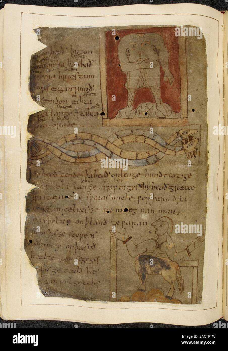 Illustrated page of the epic poem Beowulf. Charred edges of the Cotton ...