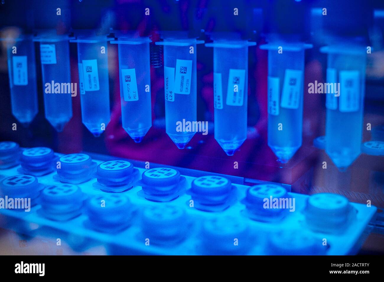 Genetic analysis of blood. Automated nucleic acid purification machine ...