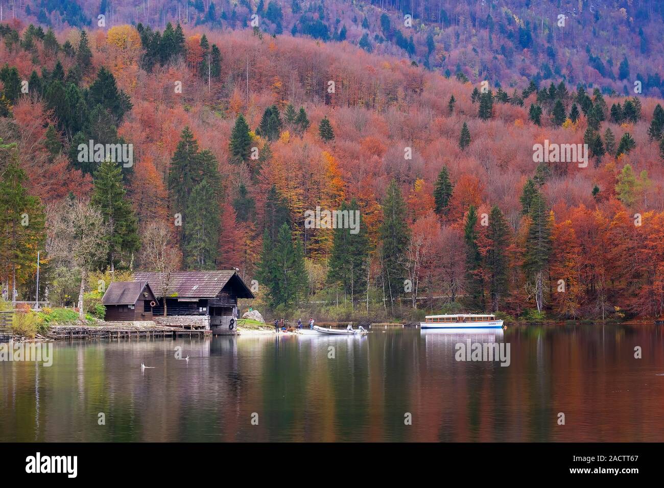 Autumn in Lake Bohinj Stock Photo