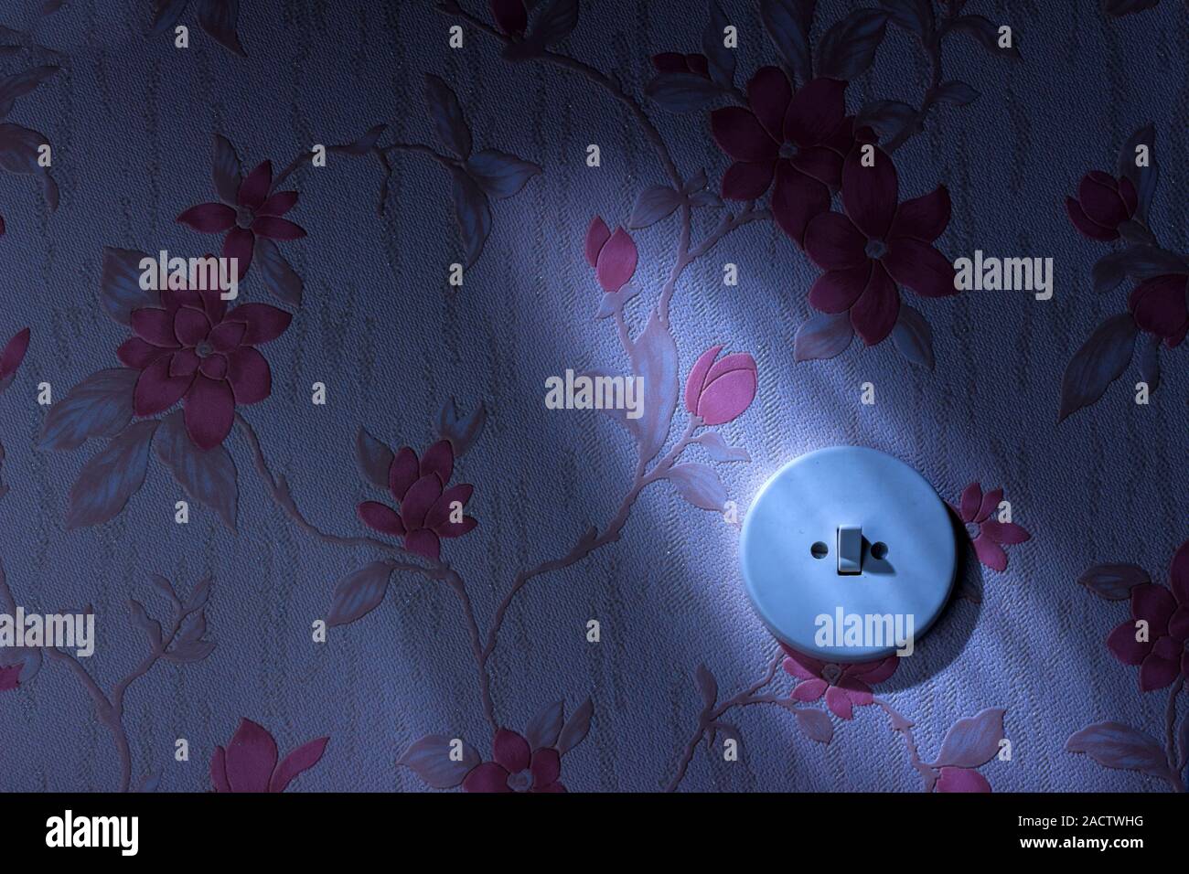 Old wallpaper with light switch Stock Photo - Alamy