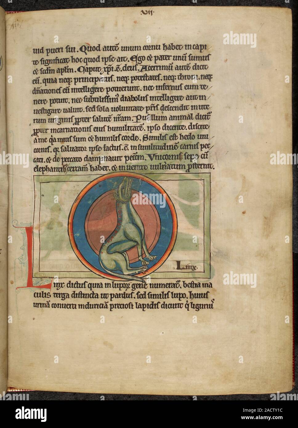 Illustration On Page Of Manuscript An Animal Horse Or Cow With illustration-on-page-of-manuscript-an-animal-horse-or-cow-with
