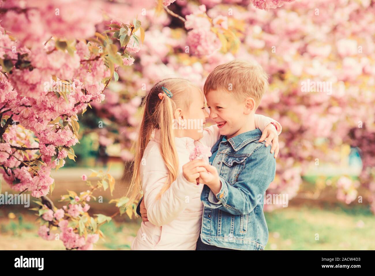 Tender Love Feelings Couple Kids On Flowers Of Sakura Tree