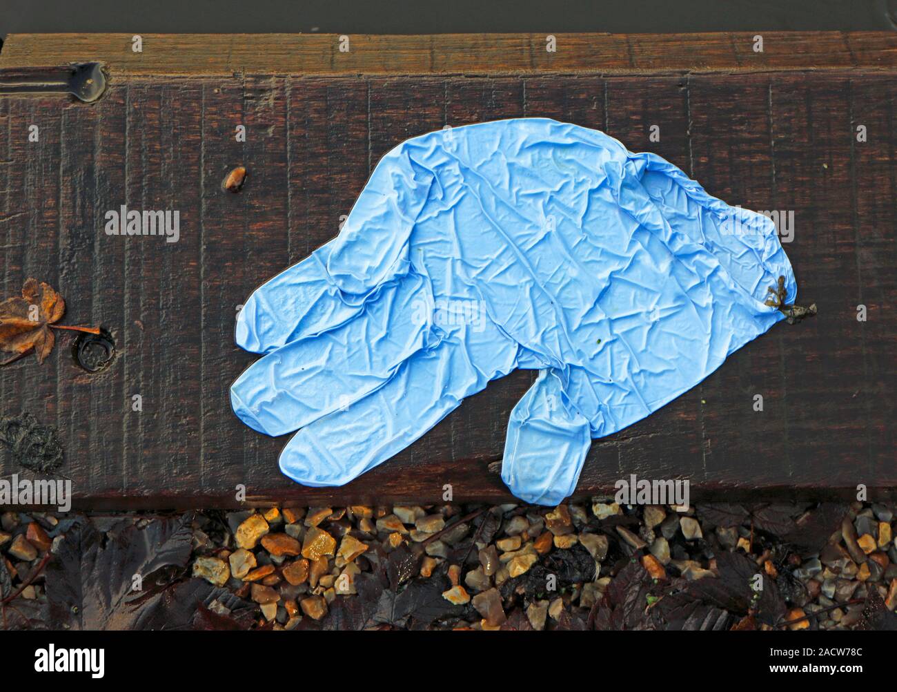 An old squashed blue latex glove by the side of the mill pool on the River Bure at Horstead, Norfolk, England, United Kingdom, Europe. Stock Photo