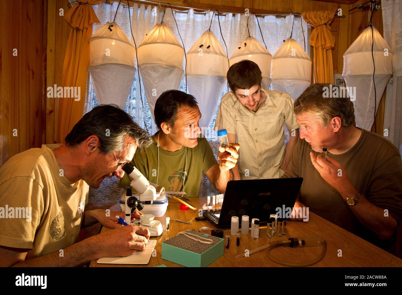 Entomology field research. Entomologists identifying and cataloguing