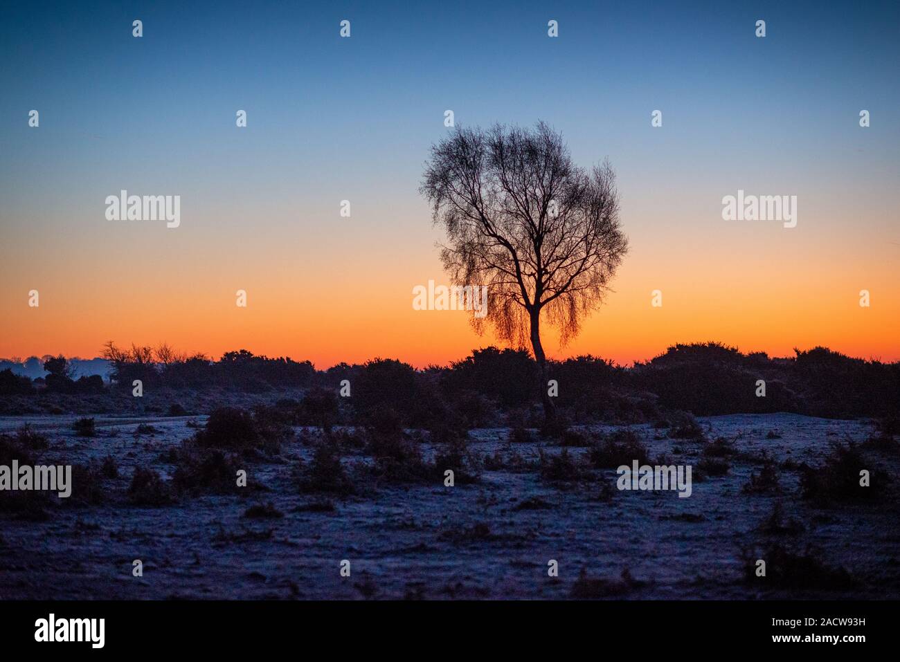 Rising sun on the horizon hi-res stock photography and images - Alamy