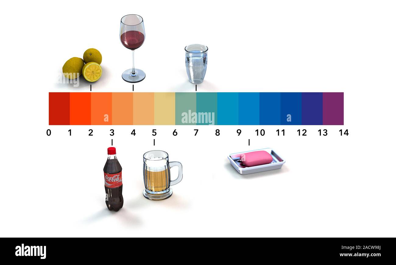 pH scale. Computer artwork showing where some everyday items occur on the pH scale. The pH scale 
