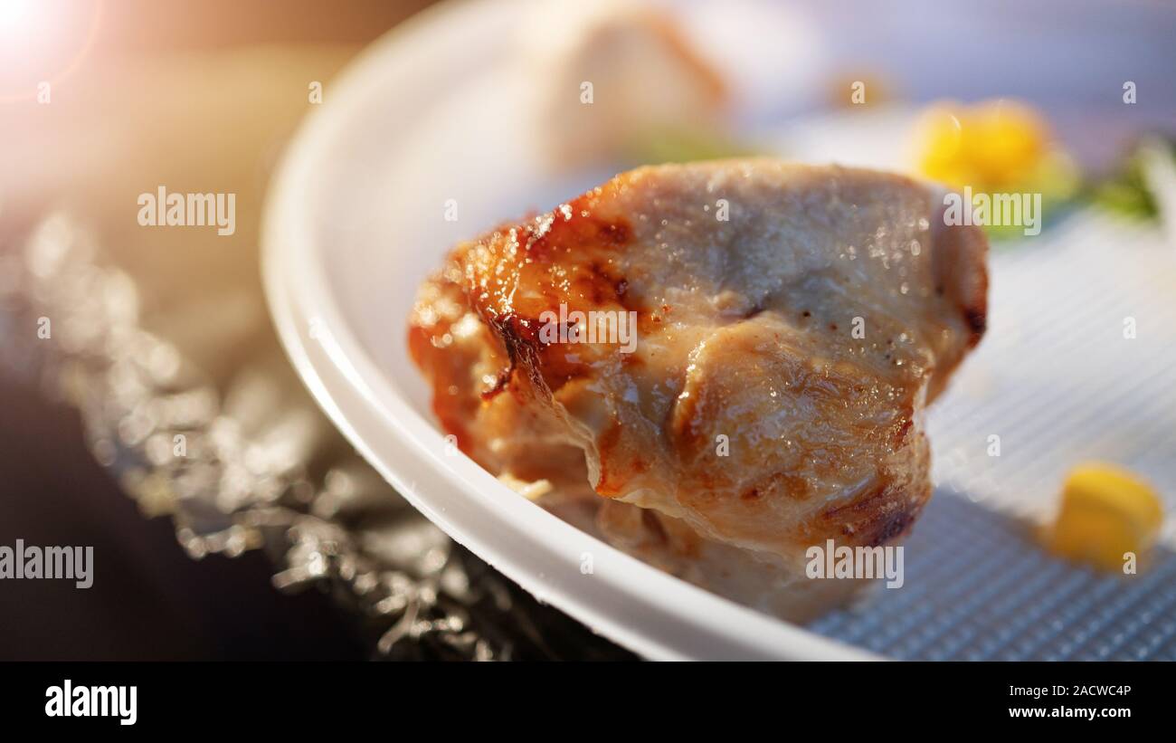 Meat Single Cooked MEAT BBQ in a single dish on a picnic Stock Photo - Alamy