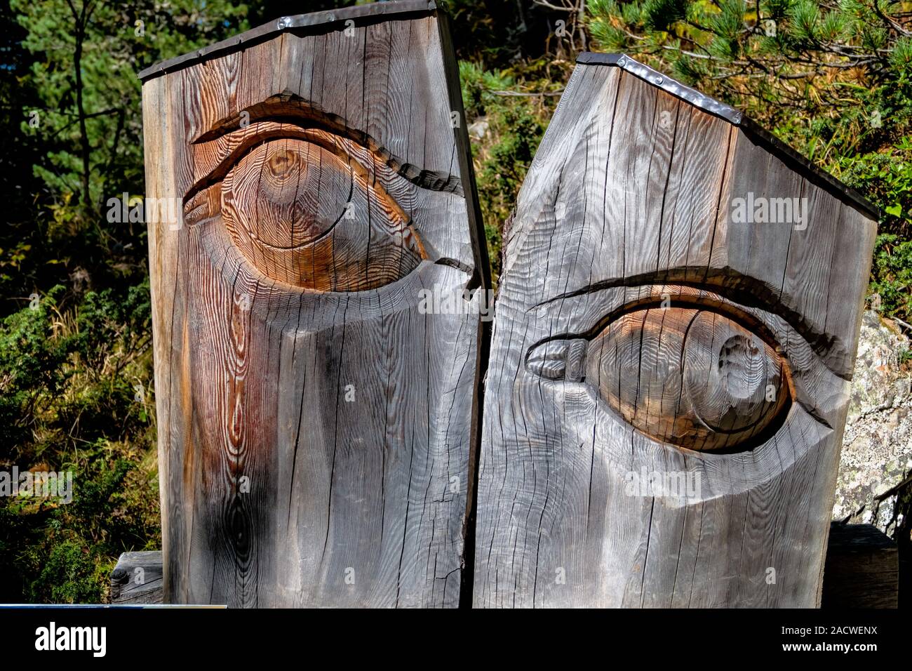 carved eye tree trunk Stock Photo