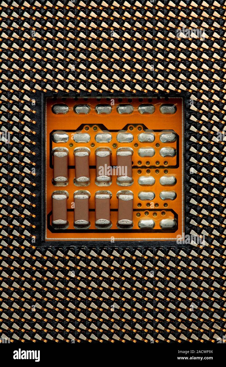 Central processing unit (CPU) socket. Close-up of a microprocessor's ...