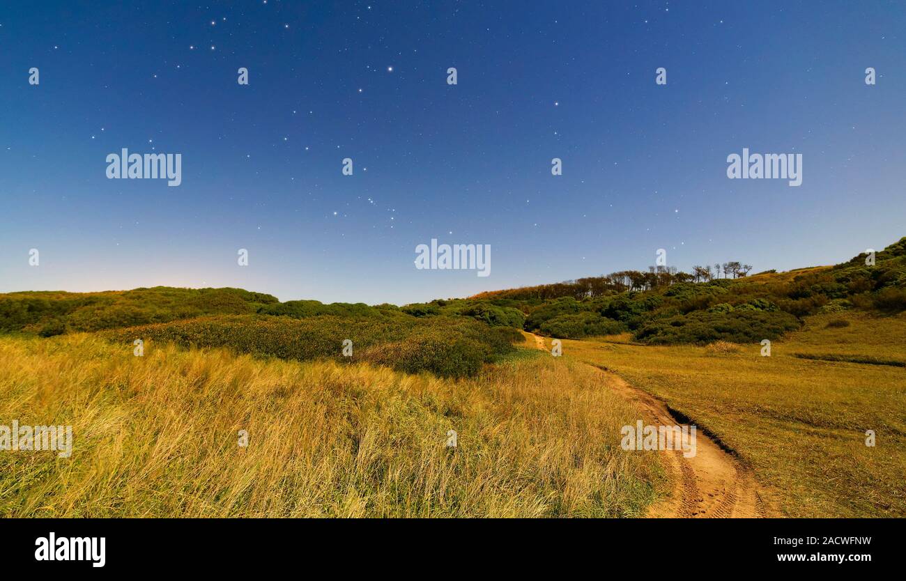 Orion constellation, Full Moon nightscape. The stars of the