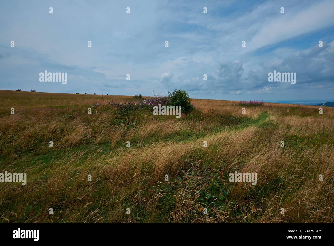 Landscape at the Wasserkuppe, Rhön Biosphere Reserve, Hesse Stock Photo