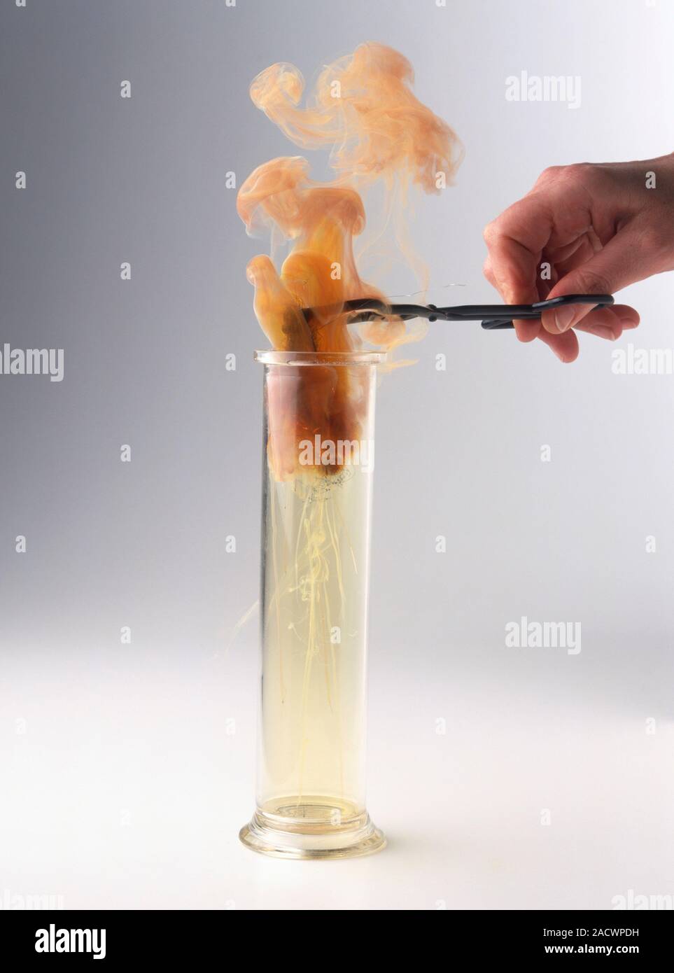 Making iron chloride through chemical reaction Stock Photo Alamy