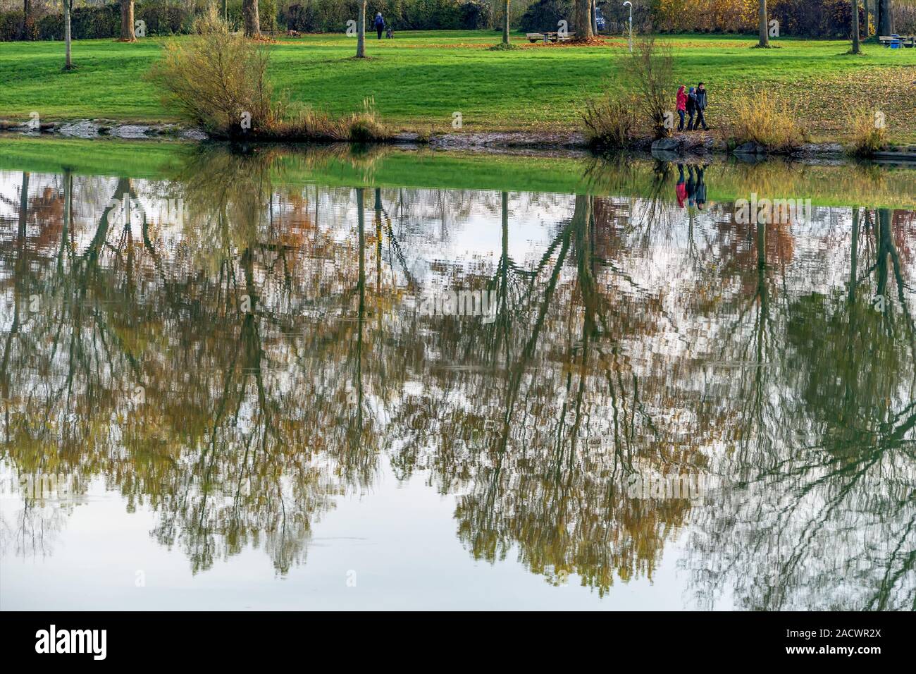 Trees are reflected in the water Stock Photo - Alamy