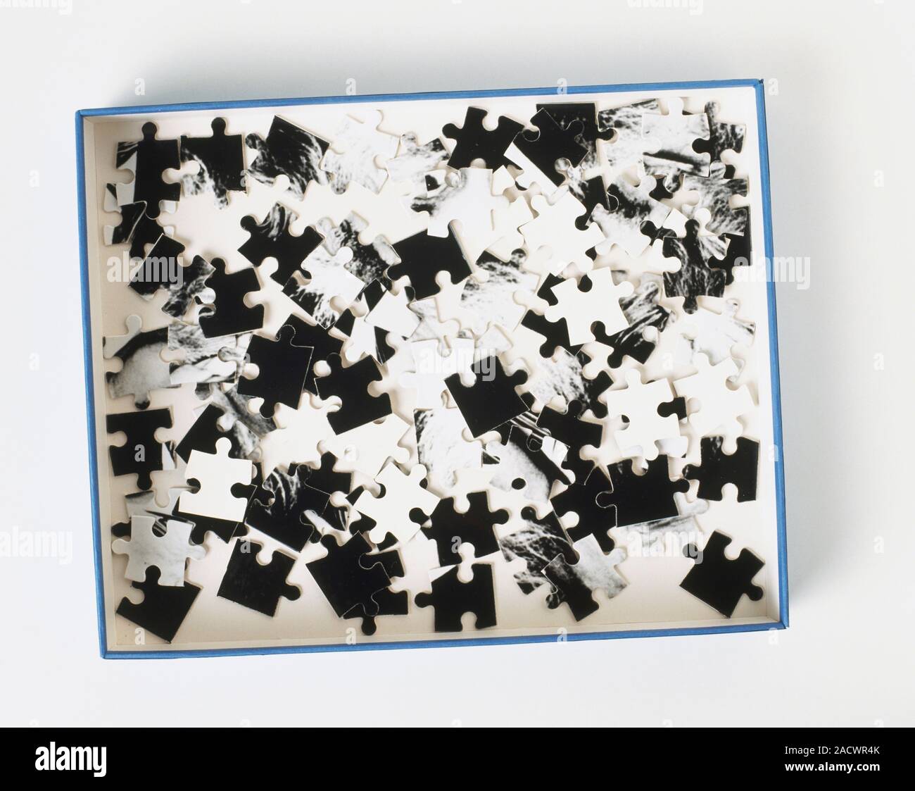 Eurographics Einstein Tongue 1000-Piece Puzzle - 19.25x26.5", Eco-Friendly, Made In USA - View #13