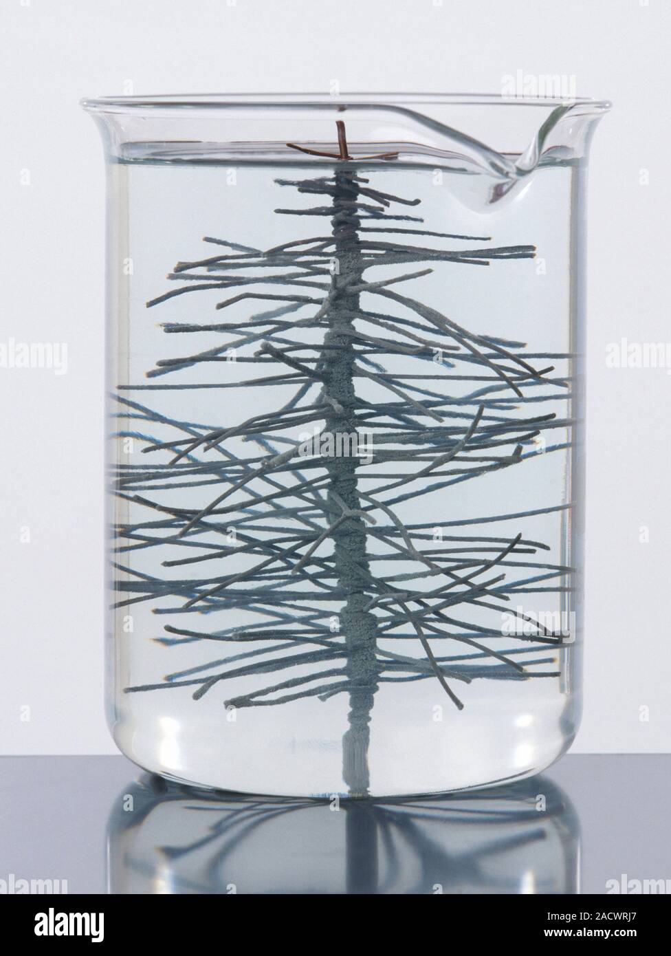 Copper wire immersed in a clear silver nitrate solution Stock Photo Alamy