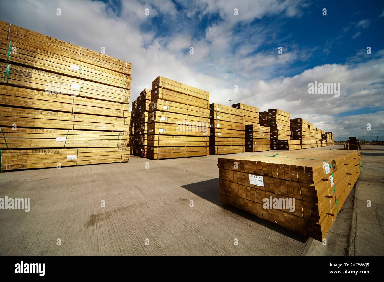 Timber planks stacked in timber or lumber yards Stock Photo Alamy