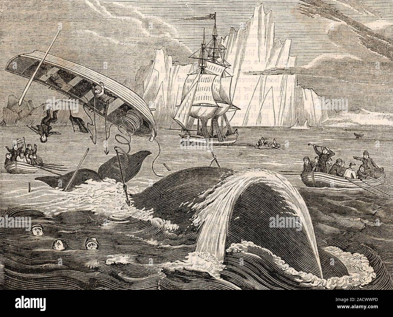 WHALING IN ARCTIC SEAS in the 1840s Stock Photo