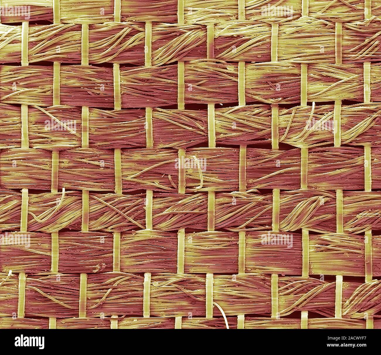 Cotton pillowcase fabric, coloured scanning electron micrograph (SEM). Magnification: x30 when printed at 10 centimetres across. Stock Photo