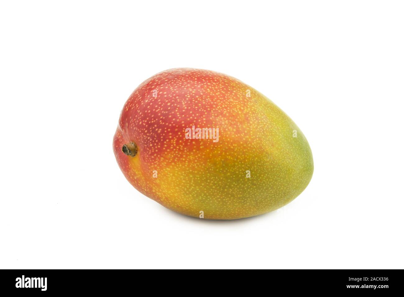 Whole mango on white background Stock Photo