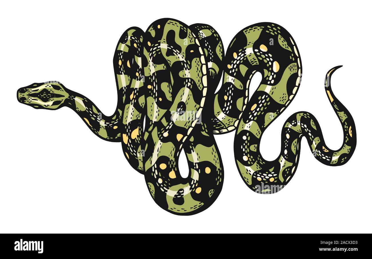 Share more than 136 anaconda logo best - camera.edu.vn