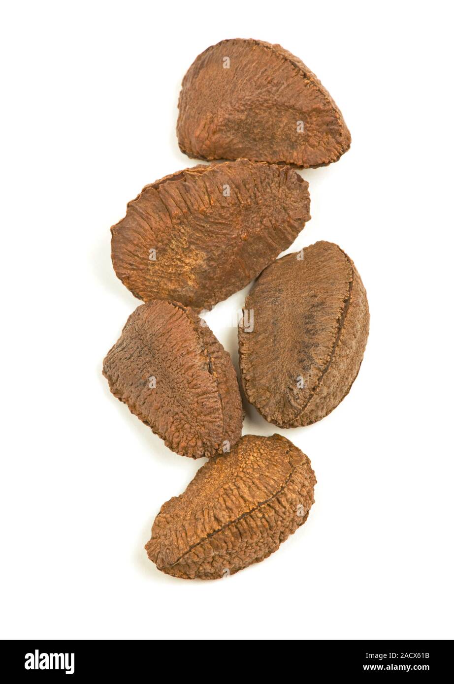 Brazil nuts (Bertholletia excelsa). These nuts are a good source of