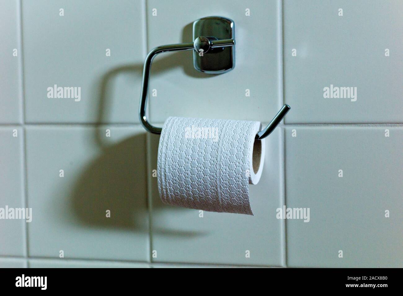 Toilet paper in the WC Stock Photo