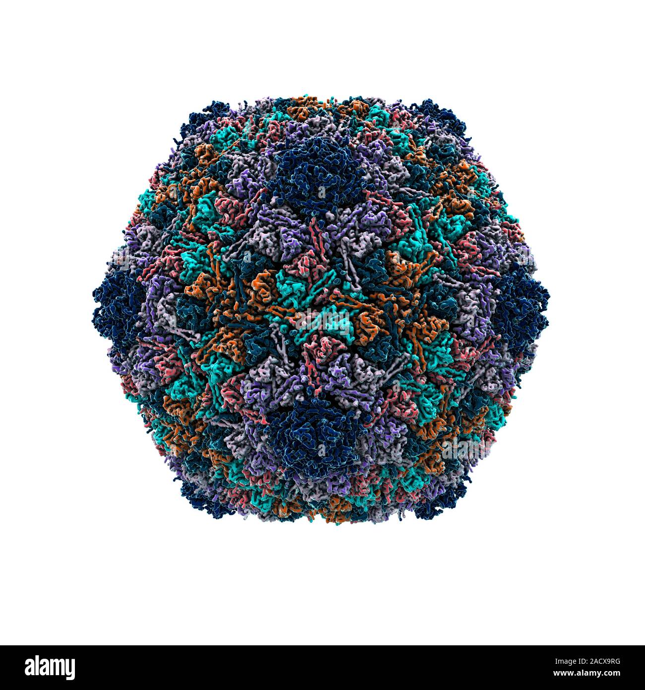 Bacteriophage particle, computer artwork. Bacteriophages are viruses