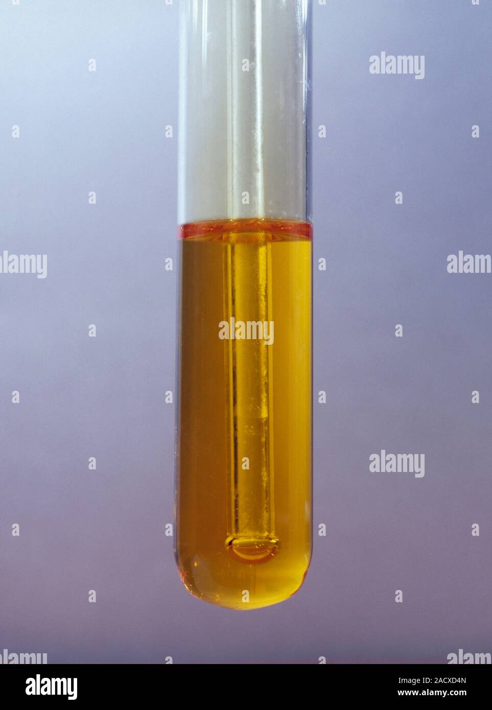 Chlorine displacing iodine. Chlorine gas bubbling through an aqueous