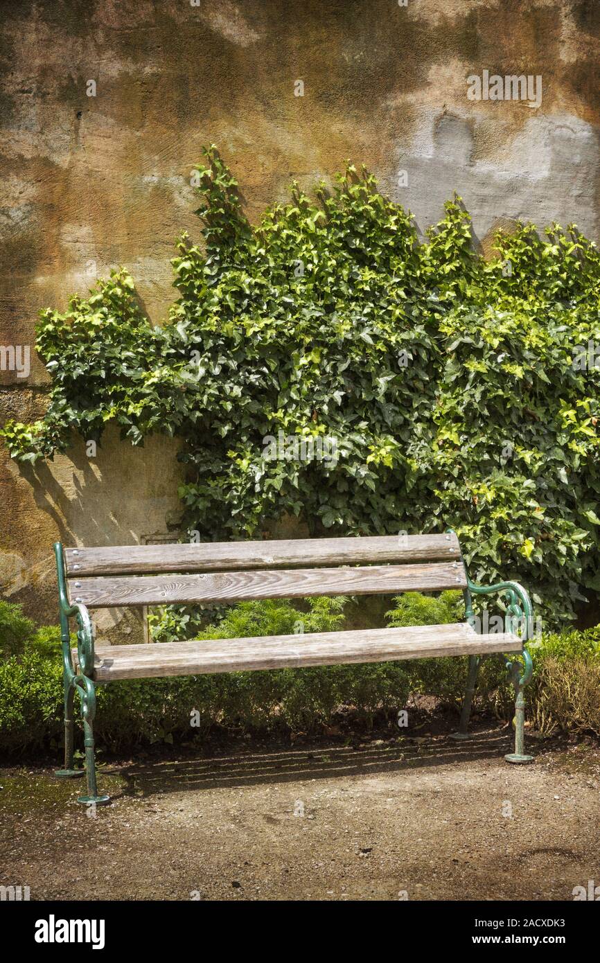 Wooden bench in front of weathered wall with ivy Stock Photo - Alamy