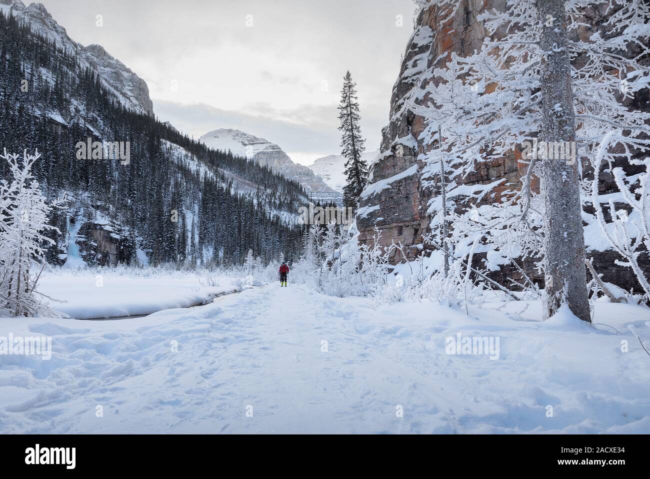 An Unrecognizable Person Skiing on a CrossCountry Ski Trail at Lake