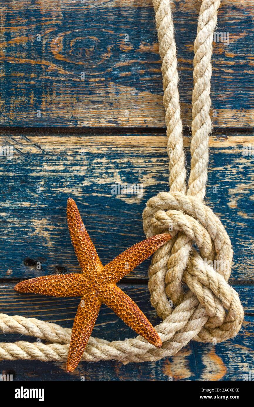 Sea background with starfish and marine rope Stock Photo - Alamy
