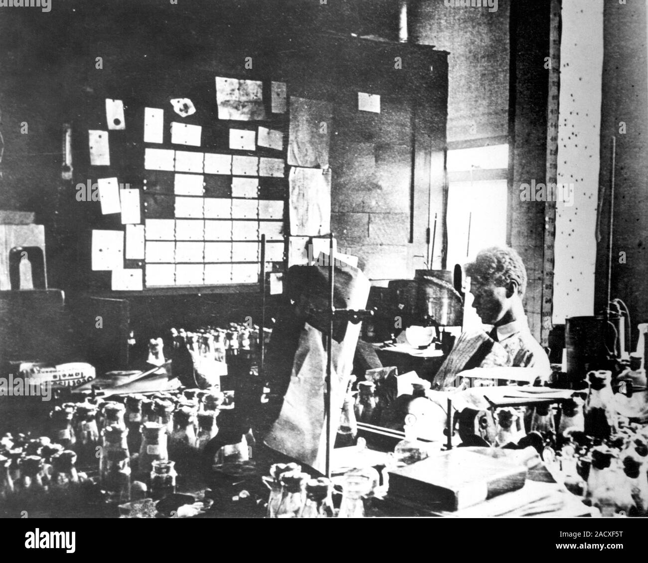 Bridges fruit fly research. US Calvin Blackman