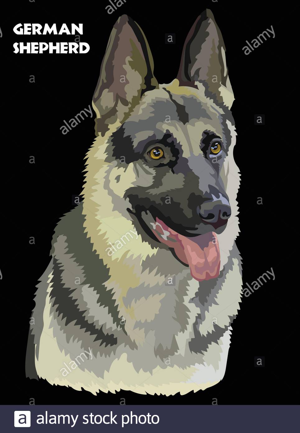 Colorful German Shepherd Vector Drawing Portrait Isolated Vector