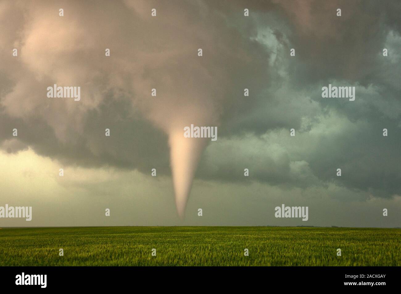 Tornado on the Great Plains of the USA. A tornado is a rapidly rotating ...